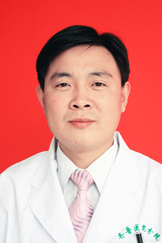 麻永华